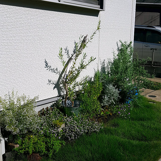 masarinn.さんの実例写真