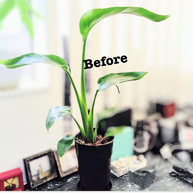 MOMOMAMAさんの部屋