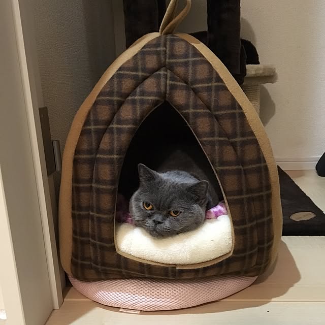 kazuさんの実例写真