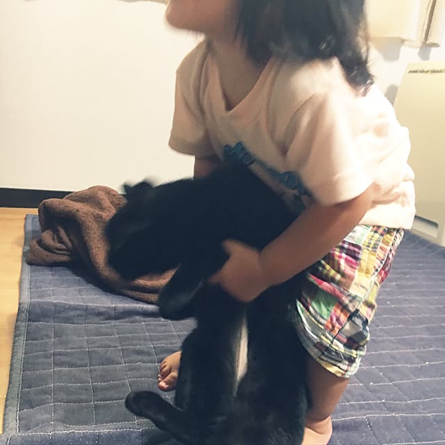 cocco0505さんの実例写真