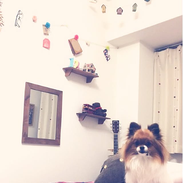maiさんの実例写真