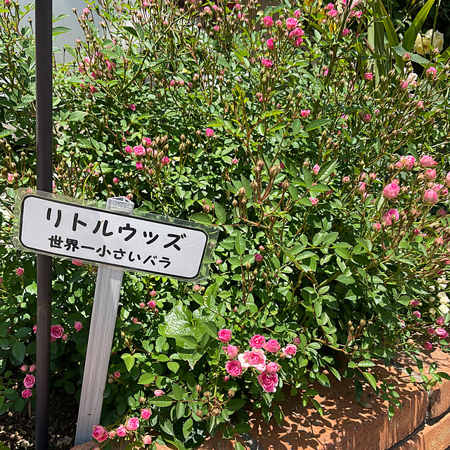 natsumiさんの部屋