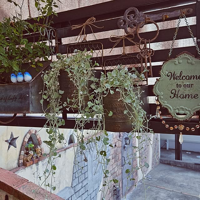 mocomocoさんの部屋