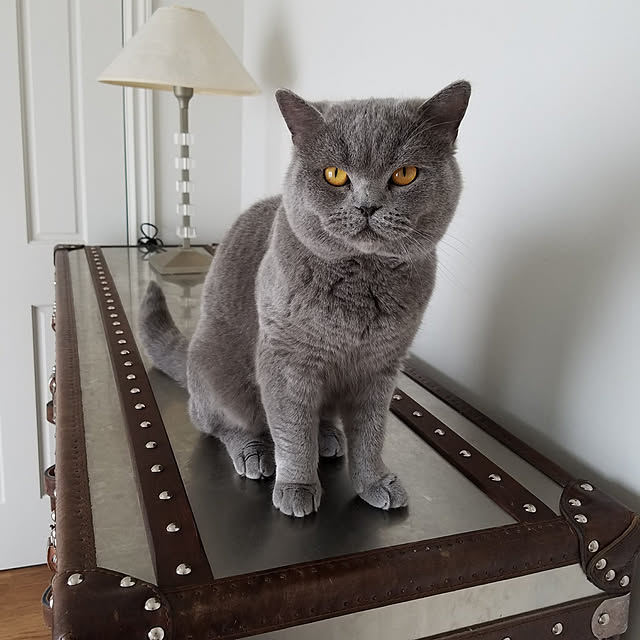 Rieさんの実例写真