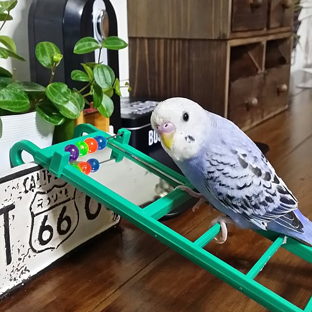 karinさんの実例写真