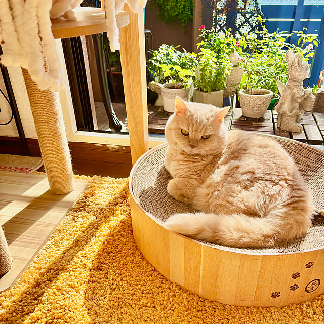 naokoさんの部屋