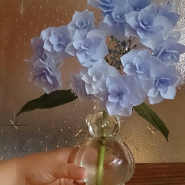 kikuさんの実例写真