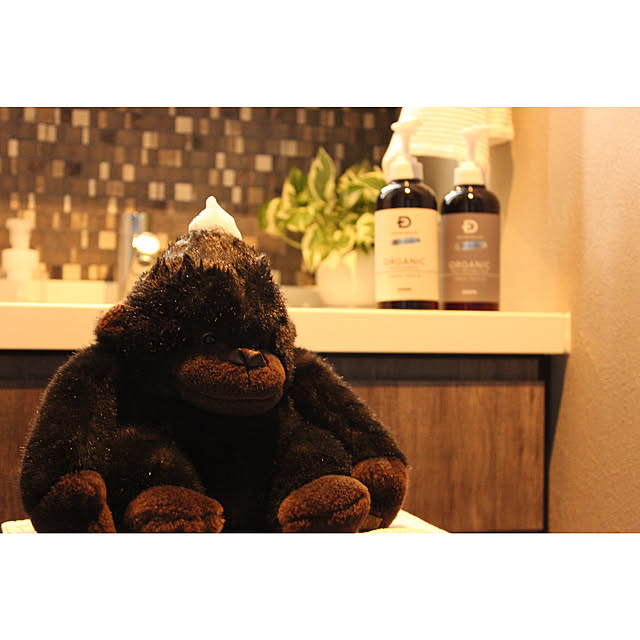 yucahouseさんの実例写真