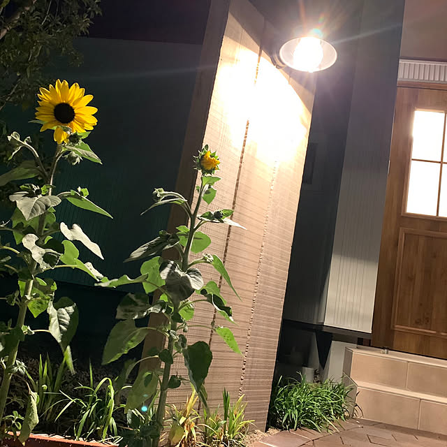 kanachoroさんの実例写真