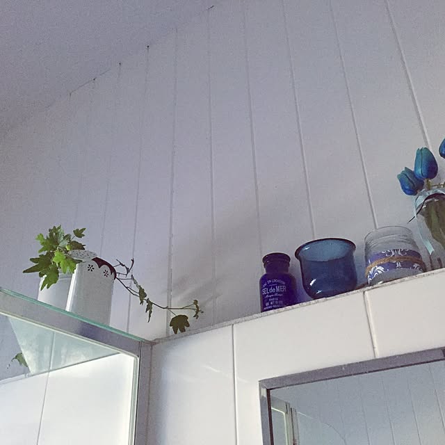 Toffieさんの実例写真