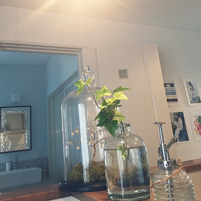 ponponさんの実例写真