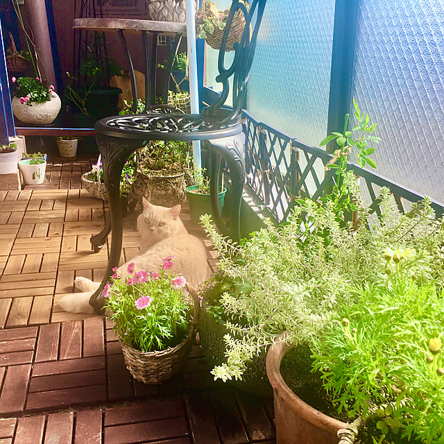 naokoさんの実例写真