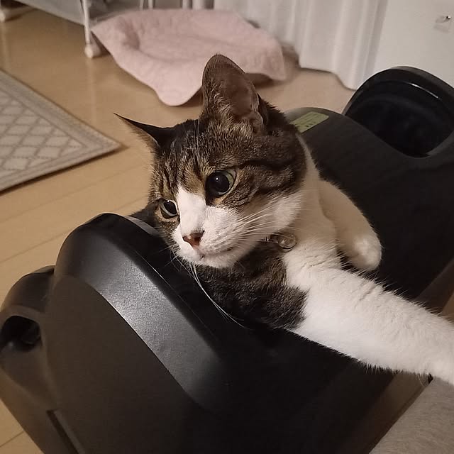 civicglさんの部屋