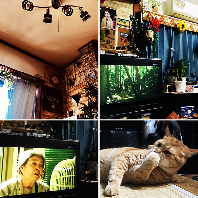 tututu0204さんの実例写真