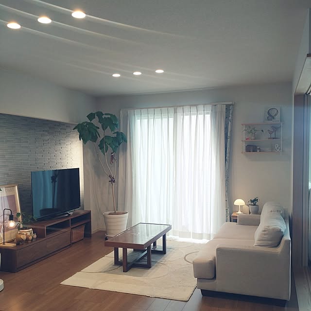 tan5さんの実例写真