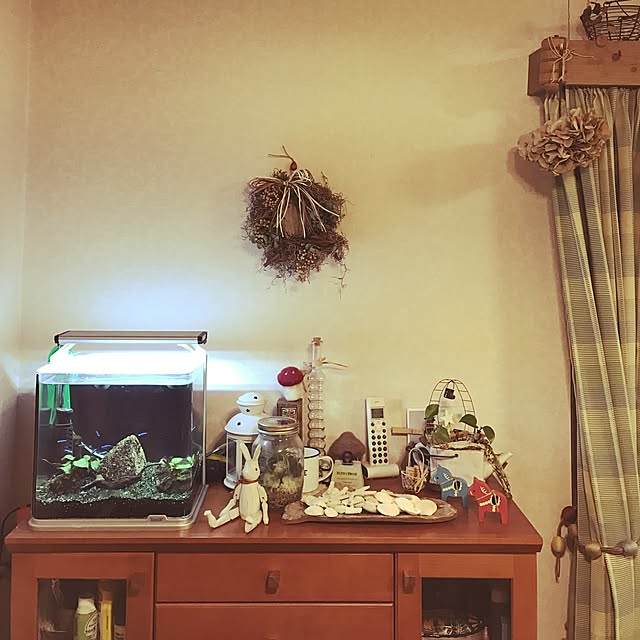 棚のインテリア実例 - 2017-01-06 21:53:53