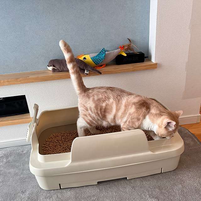 sanaさんの実例写真