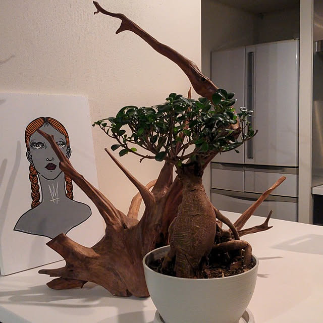 shihoさんの実例写真