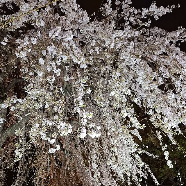 noaさんの部屋