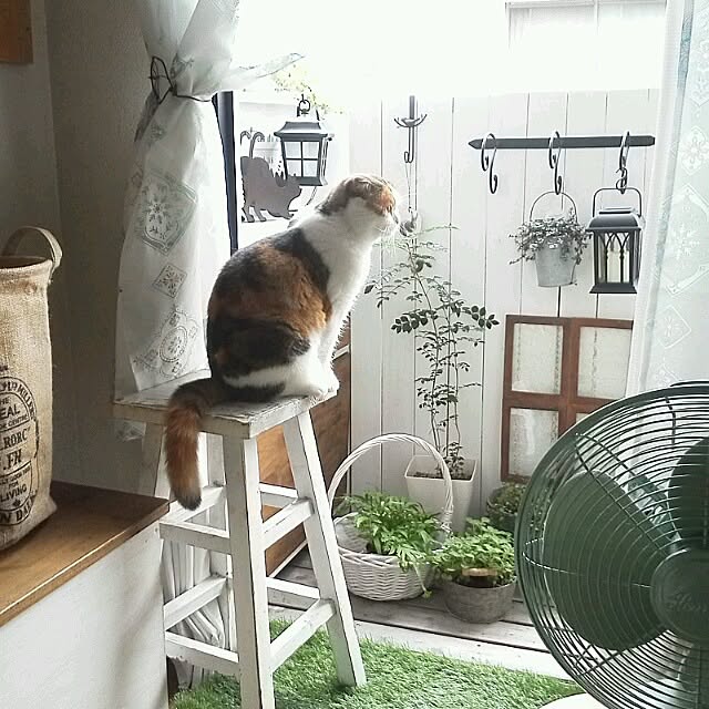 mikiさんの実例写真
