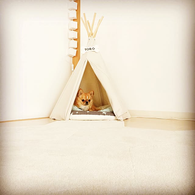 haruhinaさんの実例写真