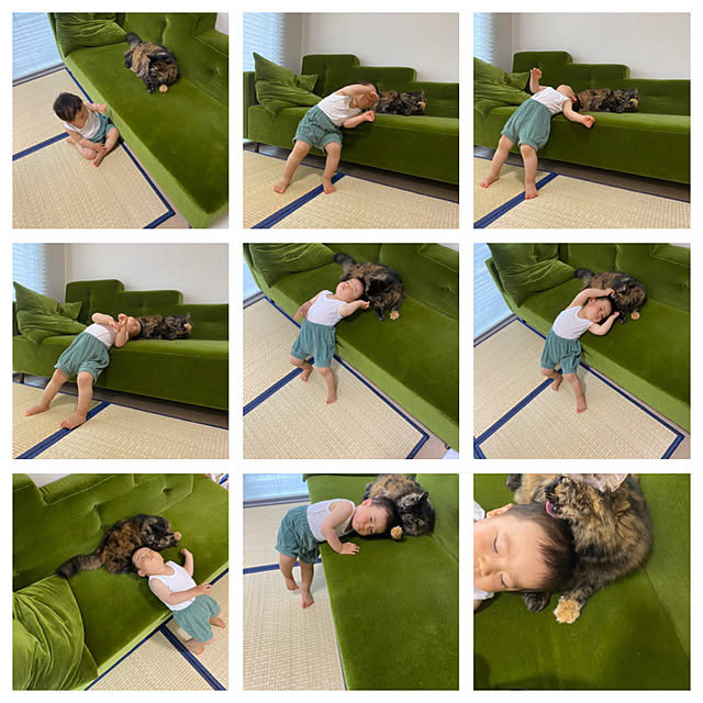 mikomaruさんの実例写真