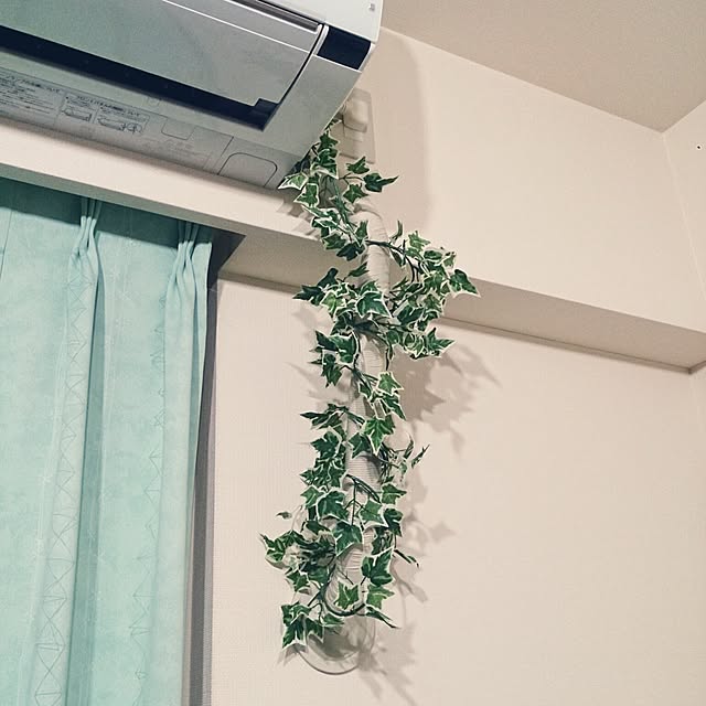 higupyonnさんの実例写真