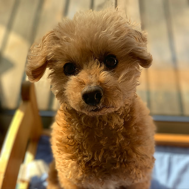 odekoさんの実例写真