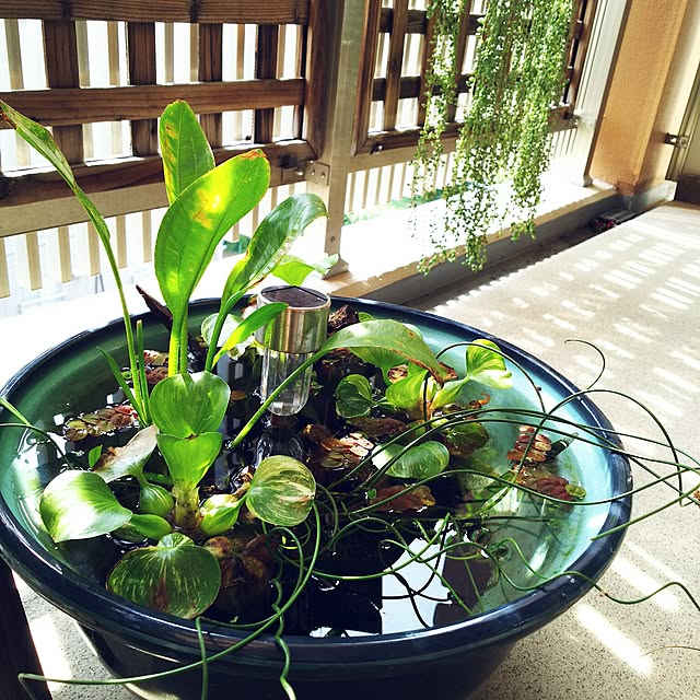 anago106さんの実例写真