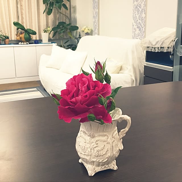 Sakura_hanaさんの実例写真