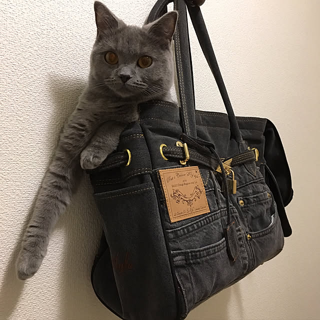 fionaさんの実例写真
