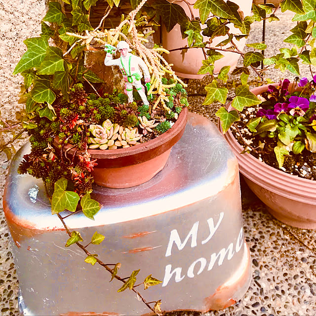 maroさんの実例写真