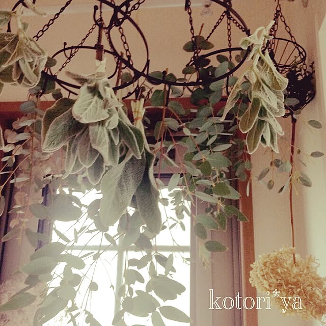 kotoriさんの実例写真