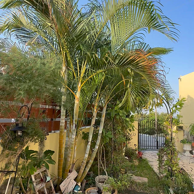 bu-bu-chanさんの部屋