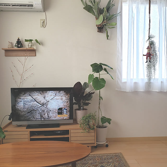 ytom999さんの実例写真