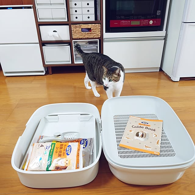 nachiさんの実例写真