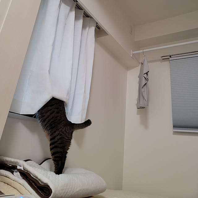 gcさんの実例写真