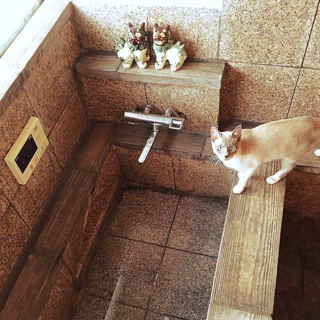 michikoさんの実例写真