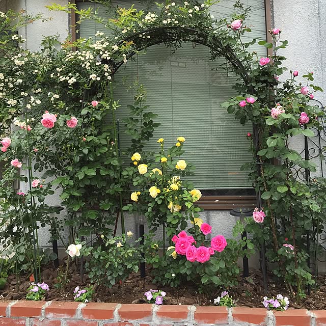 greenroseさんの実例写真