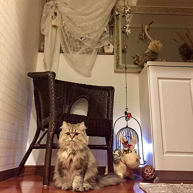 butachanさんの実例写真