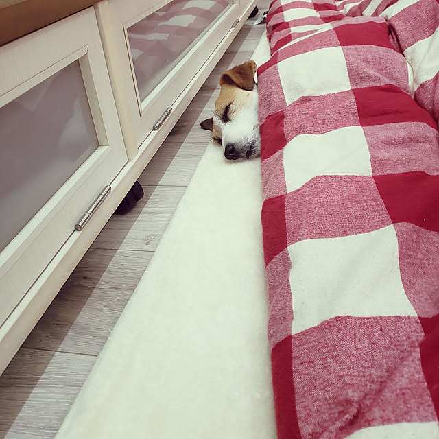 mio_ibu_1106さんの実例写真