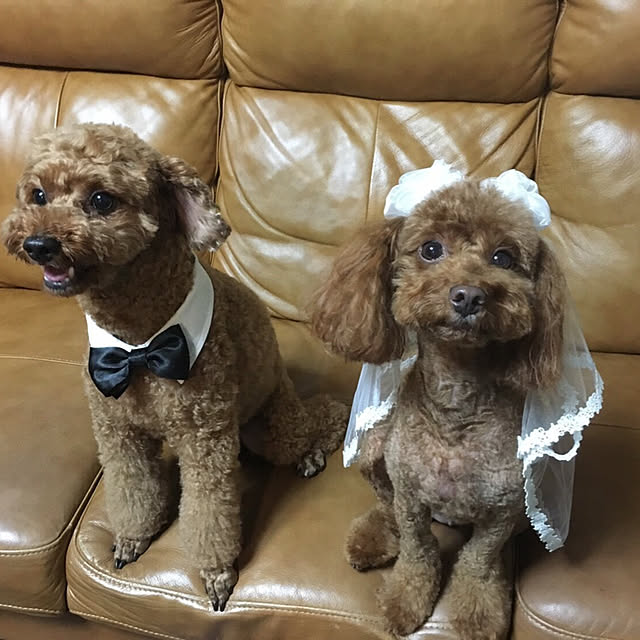 hiro.tさんの実例写真