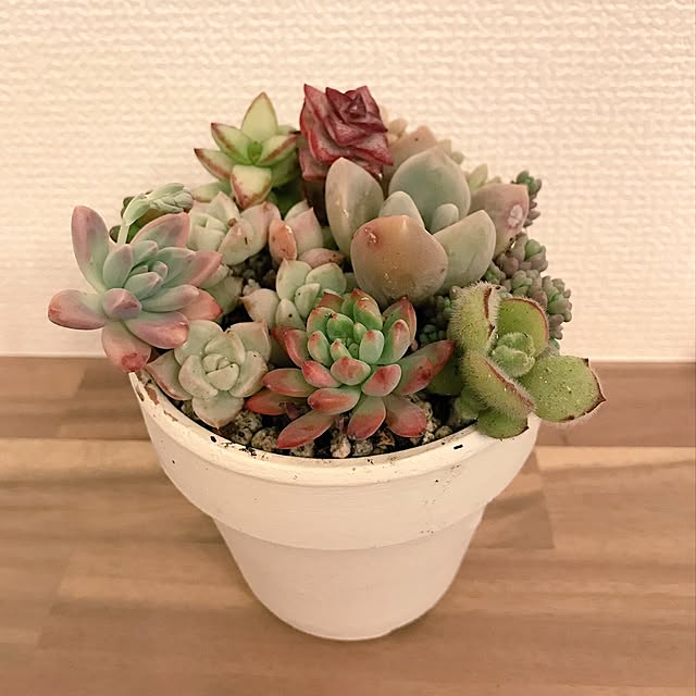 kokororoさんの実例写真