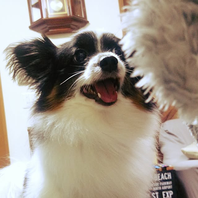 Smileberryさんの実例写真