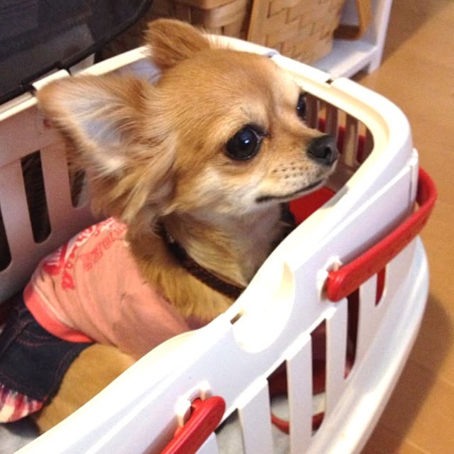 hanakkumaさんの実例写真