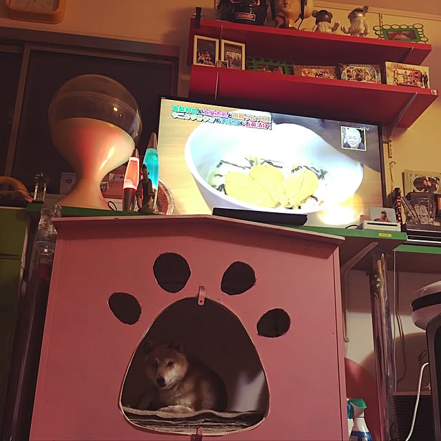 wagenbug10220418さんの実例写真