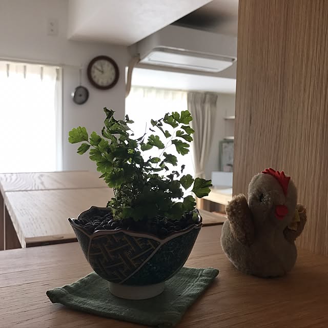 pontaさんの実例写真