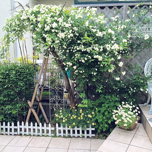 Rさんの実例写真