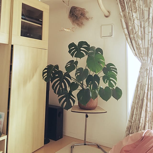 frauinmnnaさんの実例写真