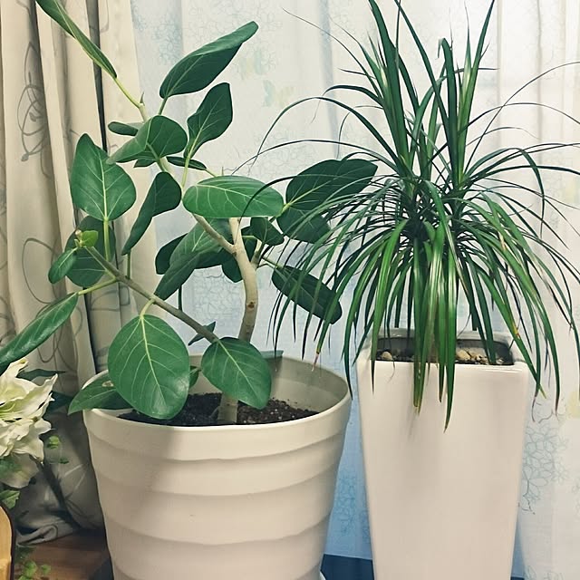 mayuko306さんの実例写真